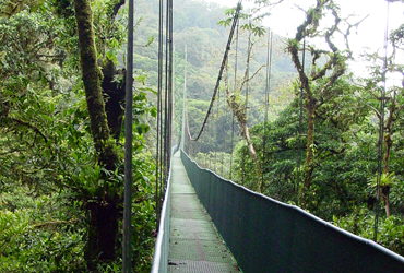 Monteverde Hanging Bridge Monteverde Hanging Bridge